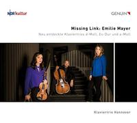 Missing Link – Trios pour piano – CD – Walter Genuin