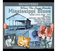 Mississippi Blues : When The Levee Breaks