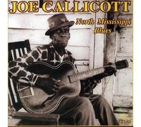 Mississippi Joe Callicott - North Mississippi Blues