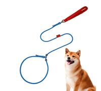 Missmisq Laisse de Dressage pour Chiots, laisses pour Chiens de Petite Taille | Harnais antidérapant pour Chien Moyen de 59 Pouces - Sangle de Cou de Traction pour Animaux de Compagnie, réglable,