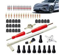 Missmisq Outil pour La Réparation des Valves De Pneu | 65 Pièces - Démontoir de Cœur de Valve pour Pneu de Voiture,Accessoires Et Fournitures pour Camion Quad Véhicule Auto Berline SUV