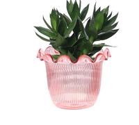 Missmisq Vase Transparent pour Fleurs - Vase Décoratif | Pot pour Boutures Décorations Florales Décors Photos Bibliothèque Bureau Cuisine Hall d'Hôtel Événements
