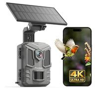 Misstech Caméra Solaire 4K UHD pour la Surveillance de la Cour, Activation Rapide de 0,1 s, Vision Nocturne Claire 64 MP/4K, sans Frais mensuels, contrôle par Application, IP66
