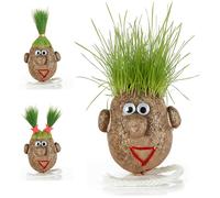 Mister Curiosities Tête d’Herbe - Monsieur Gazon, Plante Insolite à Faire Pousser, grasshead Cheveux Naturel - Décoration Amusante et ludique, expérience Jardinage - Petit modèle 5 cm sans Support