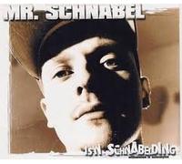 Mister Schnabel - Is'N Schnabelding [Vinyl LP]