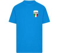 Mister Tee T-Shirt 'Azurro Italia' bleu cobalt / vert / rouge / blanc, Taille XXXL