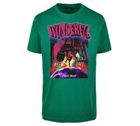 Mister Tee Wonderful Tee T-Shirt Montagnes Russes Fête Dansante Disco Neuf