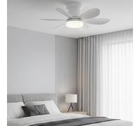 MISTRAL WHITE