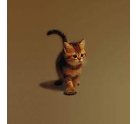 Misty Dixon - Milk Money 10 Inch (10" Vinyl) UK Twisted Nerve 2000