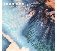 Misty Shrub [10 Inch Analog]