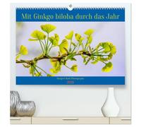 Mit Ginkgo biloba durch das Jahr (hochwertiger Premium Wandkalender 2026 DIN A2 quer), Kunstdruck in Hochglanz: Mit seinen einzigartigen, ... in Parks und Gärten eine Augenweide.