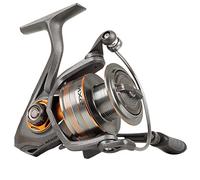 Mitchell Moulinet de pêche Mitchell MX2, moulinets, pêche au carnassier, Truite, Bar et Sandre, Unisexe, Noir, 2000, Frein Avant