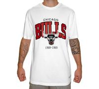 Mitchell & Ness NBA Hardwood Classics Team Arch T-Shirt - Chicago Bulls, Blanc, XL