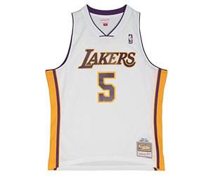 Mitchell & Ness Robert Horry Los Angeles Lakers 2002-03 Swingman Jersey