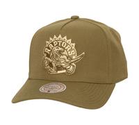 Mitchell & Ness Snapback PRO CROWN Cap - Toronto Raptors