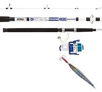 Mitchell Neuron 212 Ensemble de Cannes et moulinets pour Bateau léger - Cabillaud, goberge, Poisson Plat