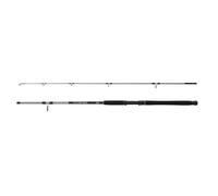 Mitchell Tanager SW Canne à pêche, Canne à pêche, pêche en Bateau, idéale pour la morue, Le Linge, Le flétan et Autres Poissons d'eau salée, Unisexe, argenté/Noir, 1,8 m, 60-120 g