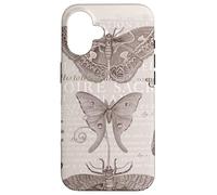 Mites de l'encyclopédie Diderot Vintage Natural History Coque pour iPhone 16
