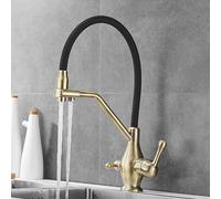 Mitigeur d'évier de cuisine doré brossé à 3 voies, design rétro flexible, double sortie d'eau et filtre, robinet à double poignée pour cuisines modernes