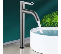 Mitigeur Lavabo Vasque a Poser Gris Robinet Monotrou Eau Froide Robinet Lave Main en Acier Inoxydable,gris