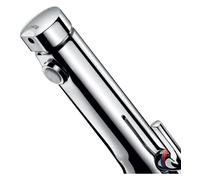 Mitigeur Thermostatique Douche Delabie Chromé 85 x 100 mm 742510