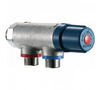 Delabie Régulateur thermostatique Premix Compact 733020 mâle 20 x 27 clapets anti-retour incorporés