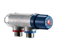 Delabie Mitigeur thermostatique Premix Compact M1/2 corps brut - 733015