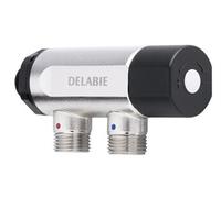 Delabie Régulateur thermostatique PREMIX compact mâle