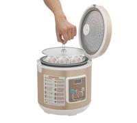 MIUKYUI Fermenteur d'ail automatique à l'ail noir 5 l pour yaourt Natto et Kimchi avec programme intelligent de température 50-85 °C