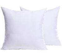 MIULEE Coussin 55x55 cm Lot de 2, Coussins de Garnissage Décoratifs pour Canapés, Blanc sans Housse, Intérieur et Rembourrage