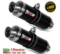 Mivv Kawasaki Z 1000 2007 07 Pot D' Echappement Moto Silencieux Gp Carbone