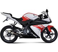 MIVV Pot d'échappement complet gp carbone compatible avec Yamaha YZF r125 r-125 2008 2009 2010 2011 2012 2013