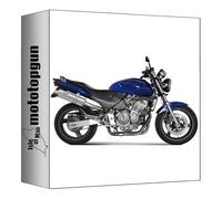 mivv pot d'echappement homologue cat-oem oval acier compatible avec honda hornet 600 1998 1999 2000 mototopgun