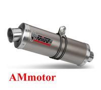 MIVV Silencieux d'échappement Ovale S.003.L4 Titane ou Carbone pour Suzuki GSF 600 Bandit
