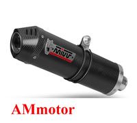 S.045.L3C - Silencieux Echappement Mivv OVAL Carbone SUZUKI SV 650 (2016 >)