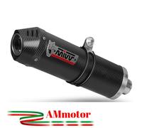 T.017.LEC - Silencieux Echappement Mivv OVAL Carbone TRIUMPH TIGER 1050 (17-)