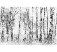 MIWEI Wallpaper Papier Peint Panoramique Forêt D'Arbres Noir Et Blanc Papier Peint 3D Intissé Tapisserie Poster Chambre Salon Decoration Murale 330x245cm -Z2143