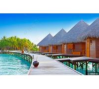 MIWEI Wallpaper Papier Peint Panoramique Île Cocotier Mountain Water Papier Peint Intissé 3D Tapisserie Decoration Chambre Salon Murale -KX35799, 400x280cm