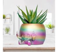 MIWOGA Pot de fleurs fantaisie pour petites plantes, pot de fleurs souriant avec doigts du milieu vers le haut, expression amusante en résine pour intérieur et extérieur (arc-en-ciel)
