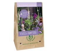 Mix Bulbes fleurs été Mauves