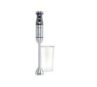 Mixeur 1700 W. 0.9 L - dore