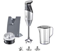 Mixeur plongeant SwissLine mx1000005 argent G