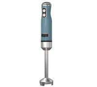 Mixeur Plongeant 600W 2 Vitesses, Moteur à Bobinage Cuivre et Pied Inox