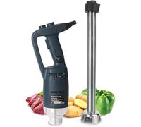 Mixeur Plongeant Professionnel Zayuzo 500 W À Vitesse Variable, Robuste Et Puissant, Avec Bâtonnet De 500 Mm