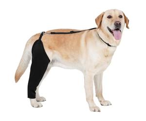 MIXIUJEN Manchon de récupération pour Patte arrière de Chien, Protection Respirante avec Sangles réglables, Alternative à la collerette(M(Left))