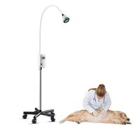 Mixtric Lampe D'Examen Chirurgical 9w, Lampe D'Examen MéDicale Mobile à Col Cygne LED, pour Usage en GynéCologie, Dentisterie et MéDecine VéTéRinaire,Mobile Type