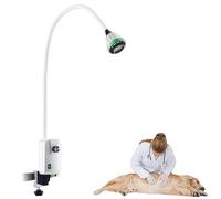 Mixtric Lampe D'Examen Chirurgical 9w, Lampe D'Examen MéDicale Mobile à Col Cygne LED, pour Usage en GynéCologie, Dentisterie et MéDecine VéTéRinaire,Rail Mounted