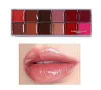 Miyanvuo Palette de Lèvres Colorée,12 Nuances Matte Crème Tenue Longue Résistance | Coffret Gloss Compact Résistant pour Femme Fille Mère avec Design Portable