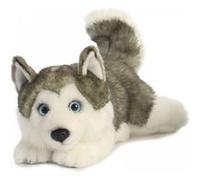 Aurora, 26263, MiYoni Husky couché 11In, Peluche, Gris