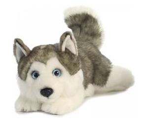 Miyoni Husky G